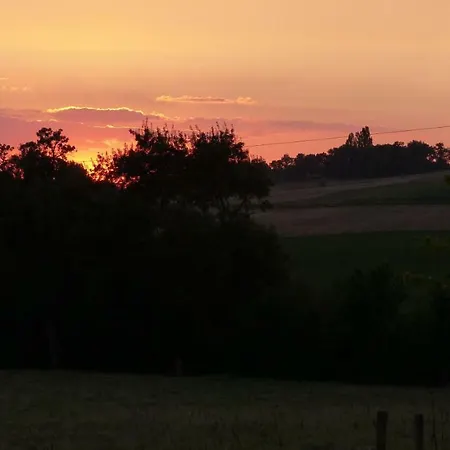 Laspeyreres コンドン