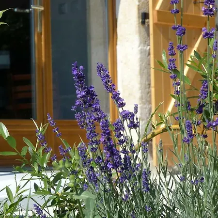 Laspeyreres 別荘 *