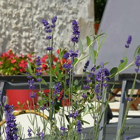 Laspeyreres 別荘 コンドン