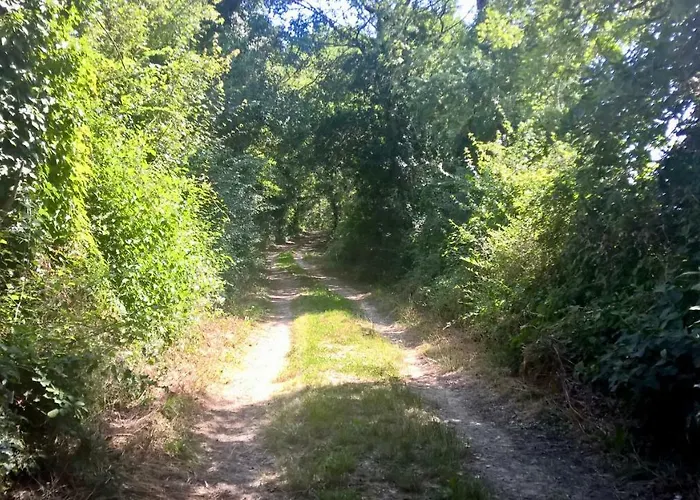 Prázdninový dům Laspeyreres