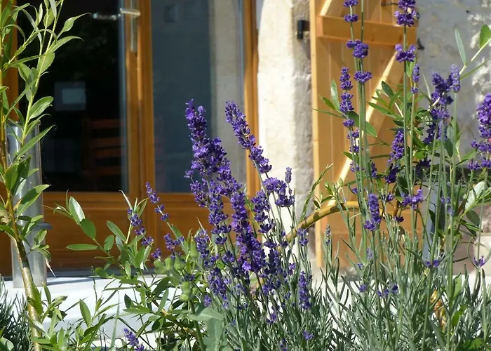 Laspeyreres Дом отдыха *