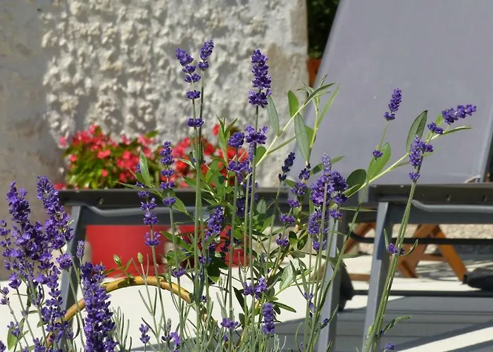 Laspeyreres Prázdninový dům Condom